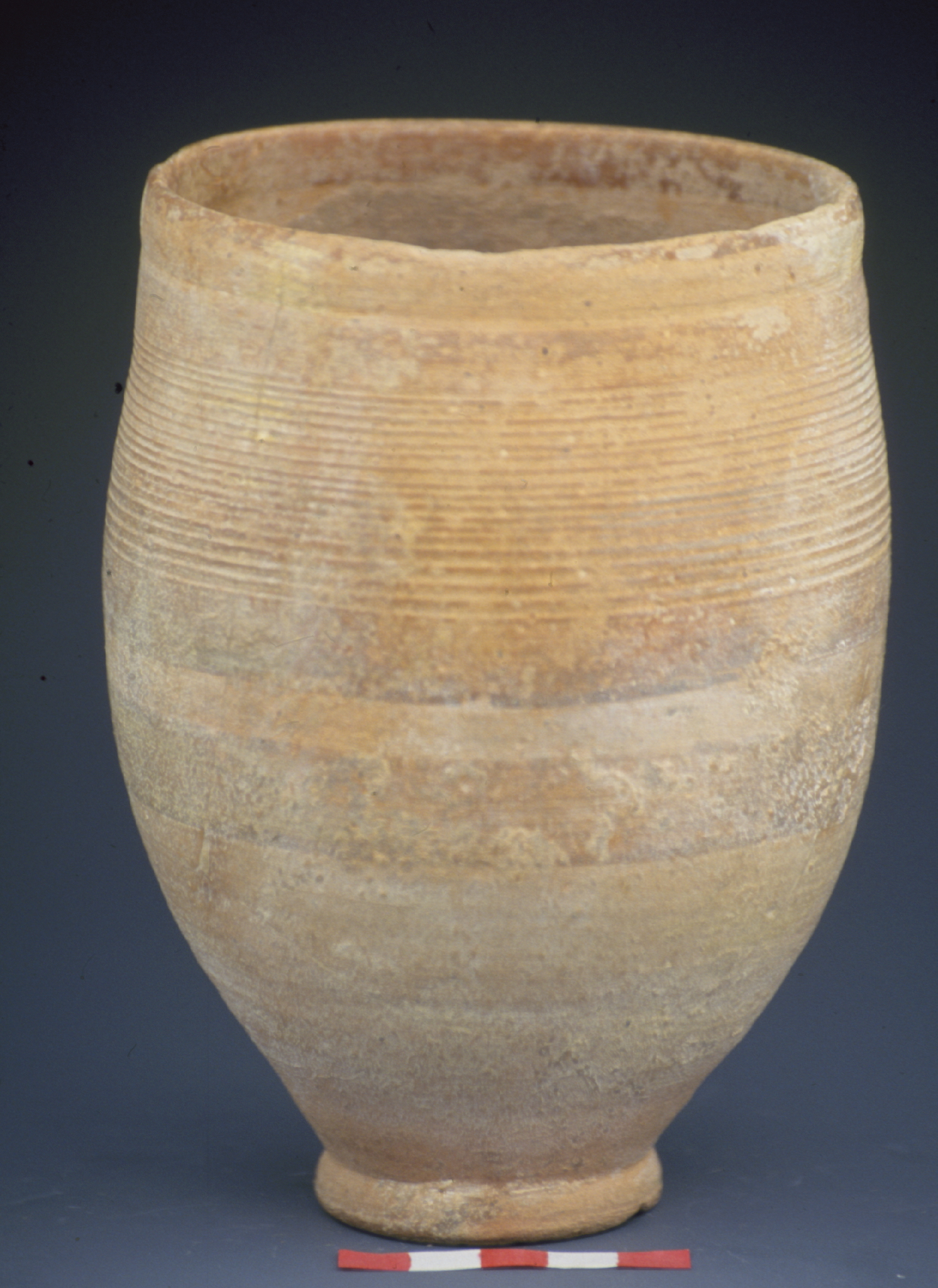 a tan cup with incised lines