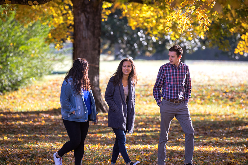 Students walking on campus